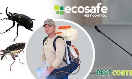 Electronic Pest Control System