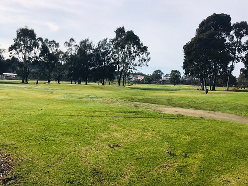 golf club in Geelong