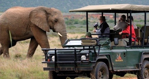 guided tours of south Africa