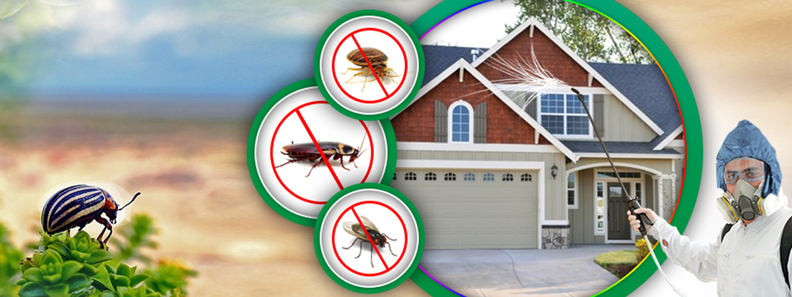 Is Professional Pest Control Safe For My Family And Pets