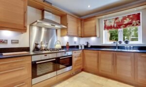 Choosing the Right Kitchen Cabinets for Your Home